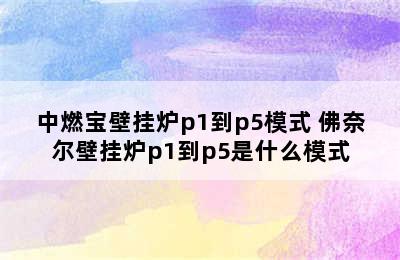 中燃宝壁挂炉p1到p5模式 佛奈尔壁挂炉p1到p5是什么模式